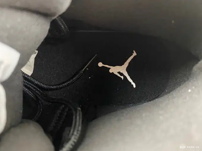 Wolf CT8013-019 Grey Jordan 12 Black Air 0613